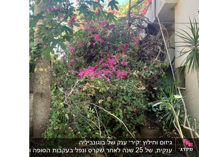 השביל חסום. 
